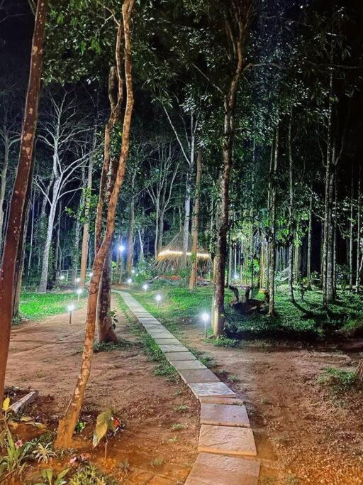 Tall Trees - Modern Forest Villa In Wayanad Sultan Bathery Eksteriør billede