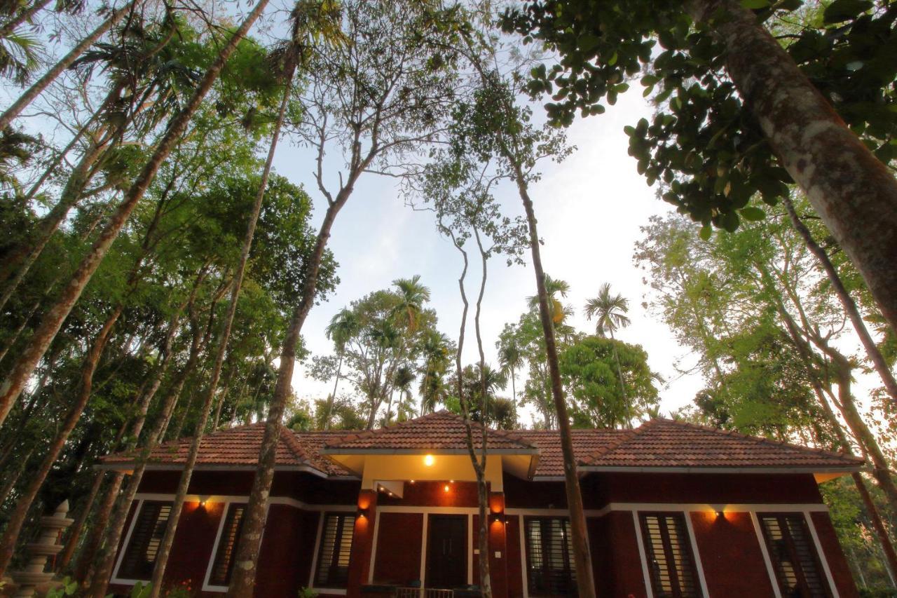Tall Trees - Modern Forest Villa In Wayanad Sultan Bathery Eksteriør billede
