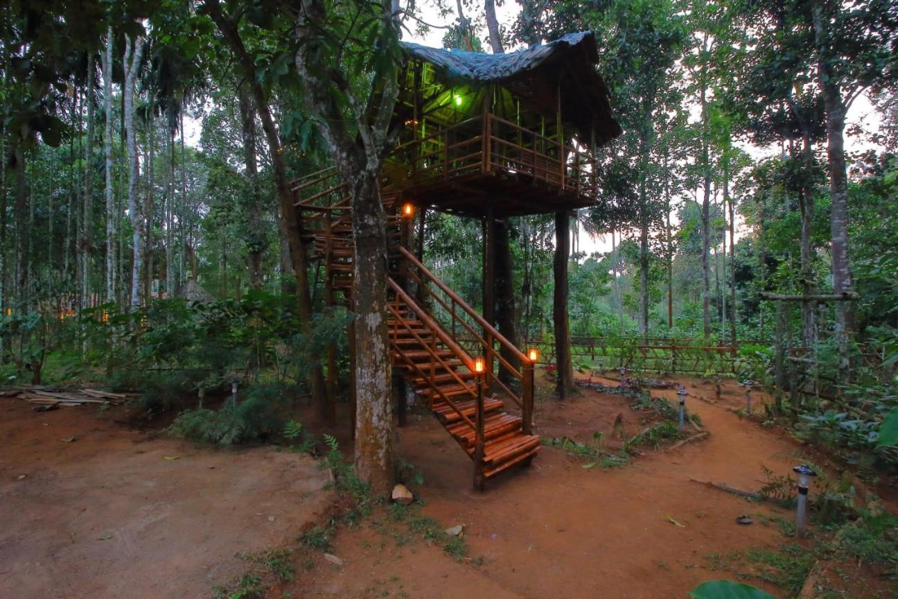 Tall Trees - Modern Forest Villa In Wayanad Sultan Bathery Eksteriør billede