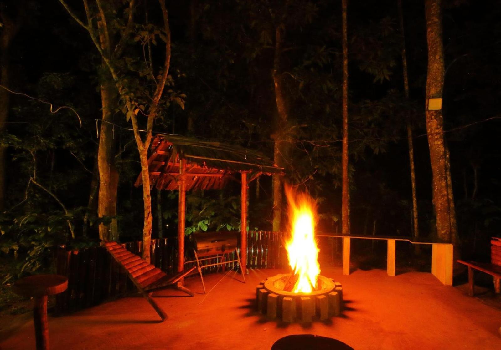 Tall Trees - Modern Forest Villa In Wayanad Sultan Bathery Eksteriør billede