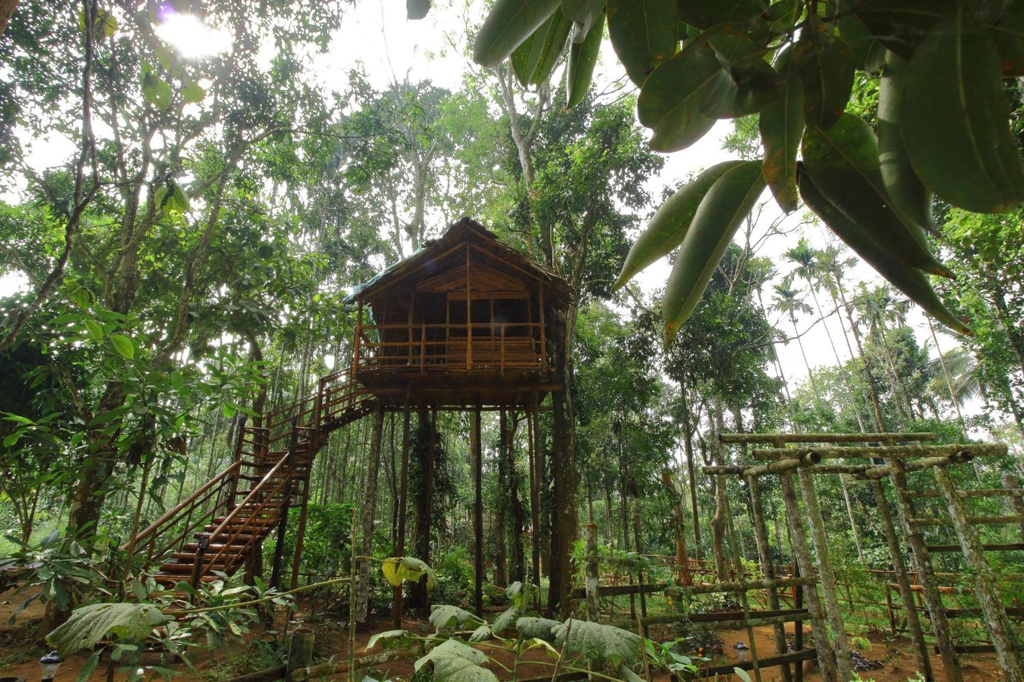 Tall Trees - Modern Forest Villa In Wayanad Sultan Bathery Eksteriør billede