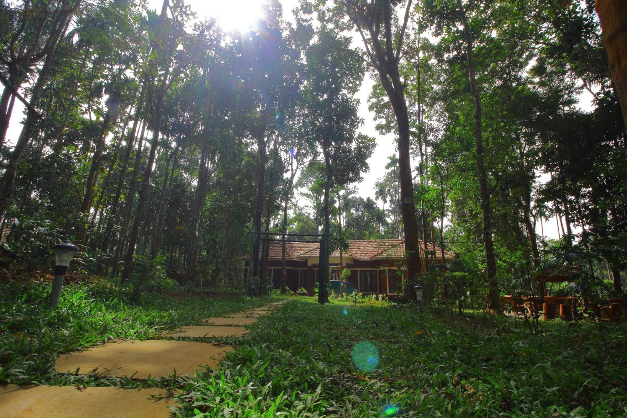 Tall Trees - Modern Forest Villa In Wayanad Sultan Bathery Eksteriør billede